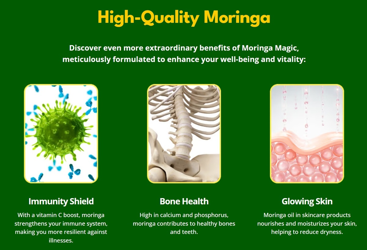 Energy Boosting With Moringa Magic