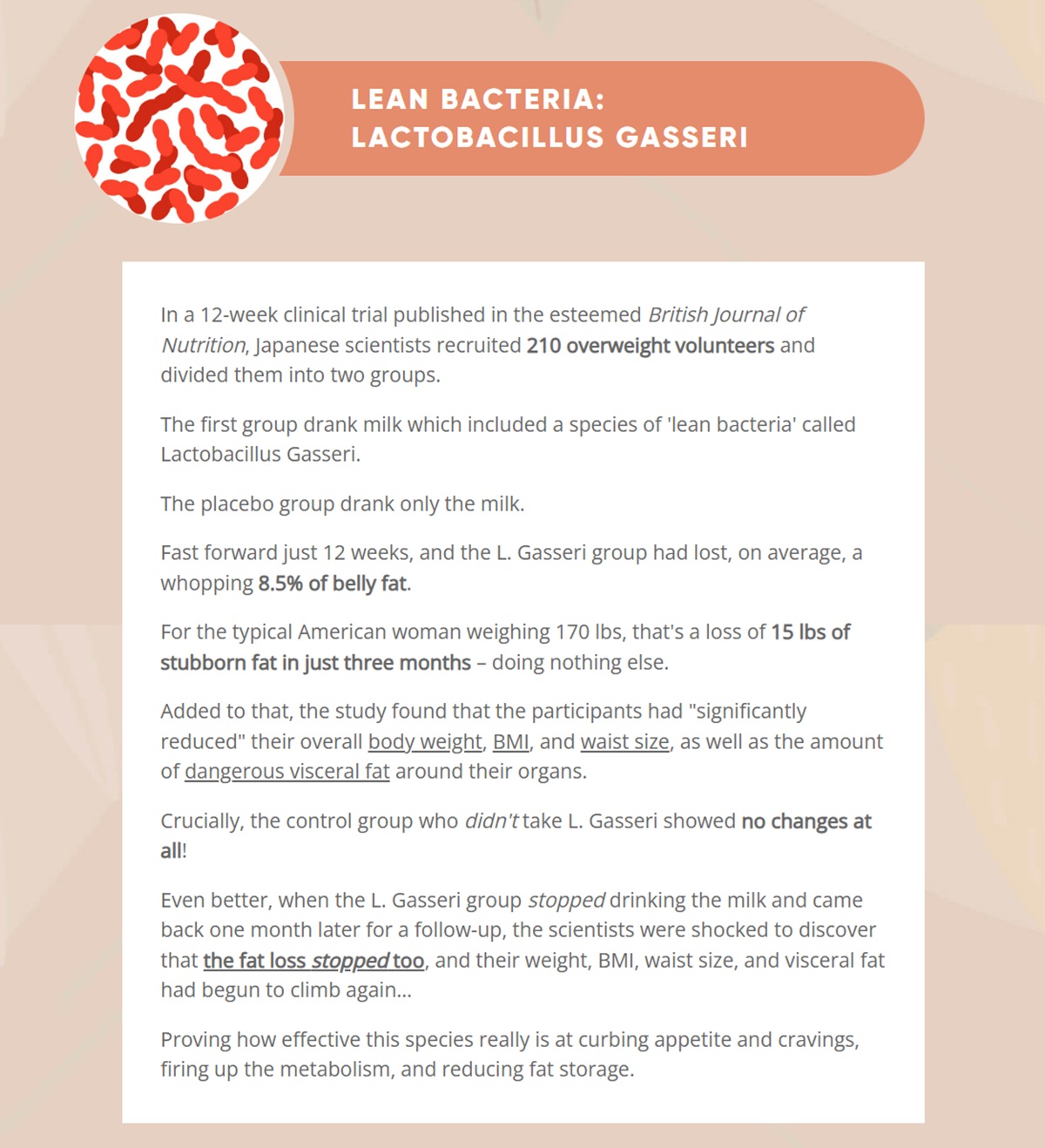 Lean Bacteria Lactobacillus Gasseri