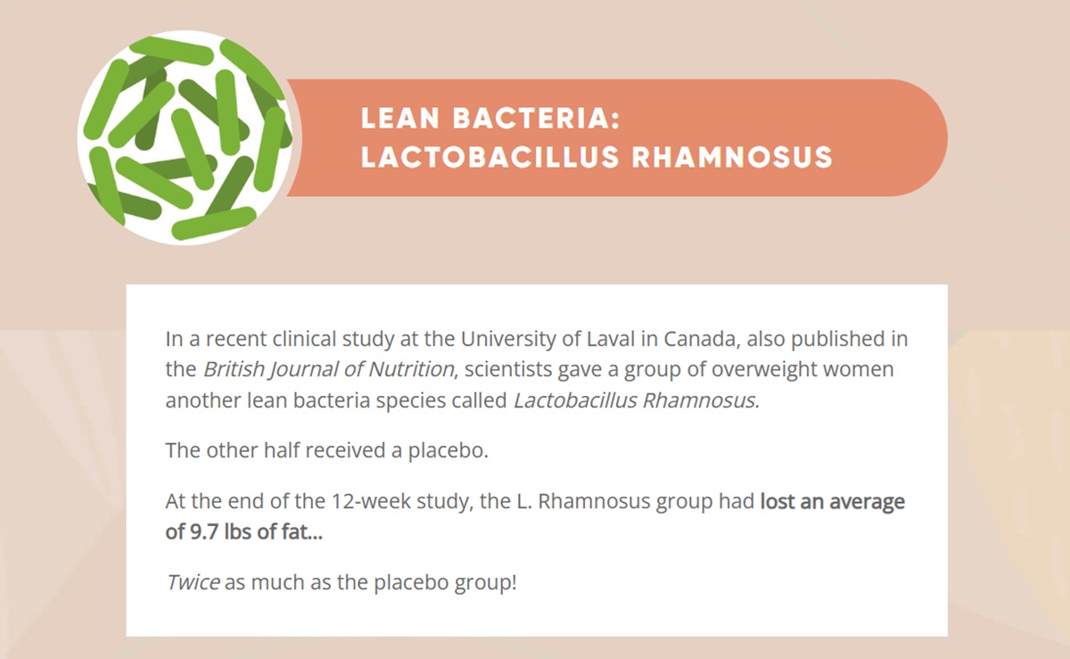 Lean Bacteria Lactobacillus Rhamnosus