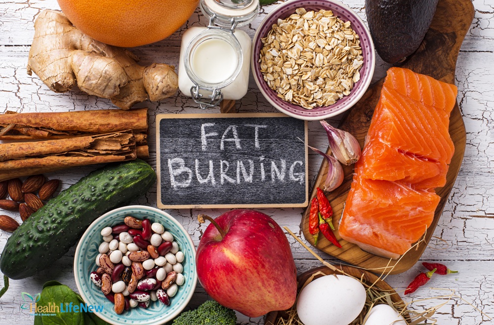 Understanding The Concept Of A Fat Burning Diet